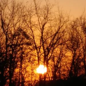 Meet your Posher, Belinda